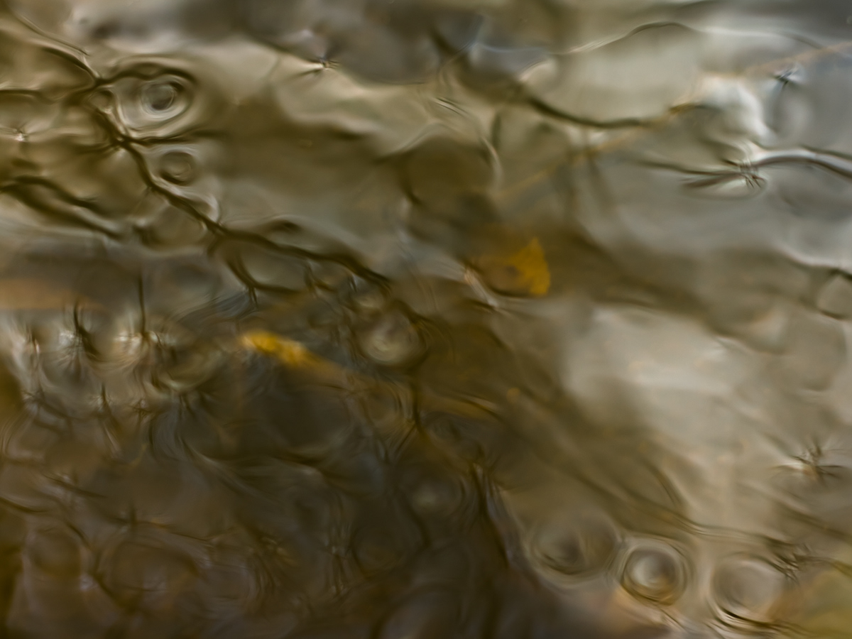 surface tension water reflections john sisson