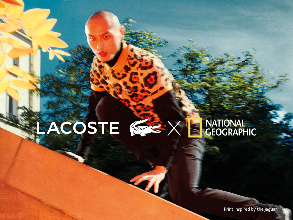 animals campaign colorful Fashion  lacoste national geographic prints Style Urban wild