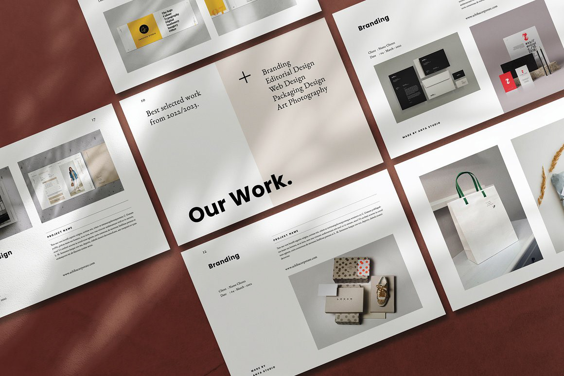 brochure clean design Designer Portfolio graphic design  minimal portfolio professional