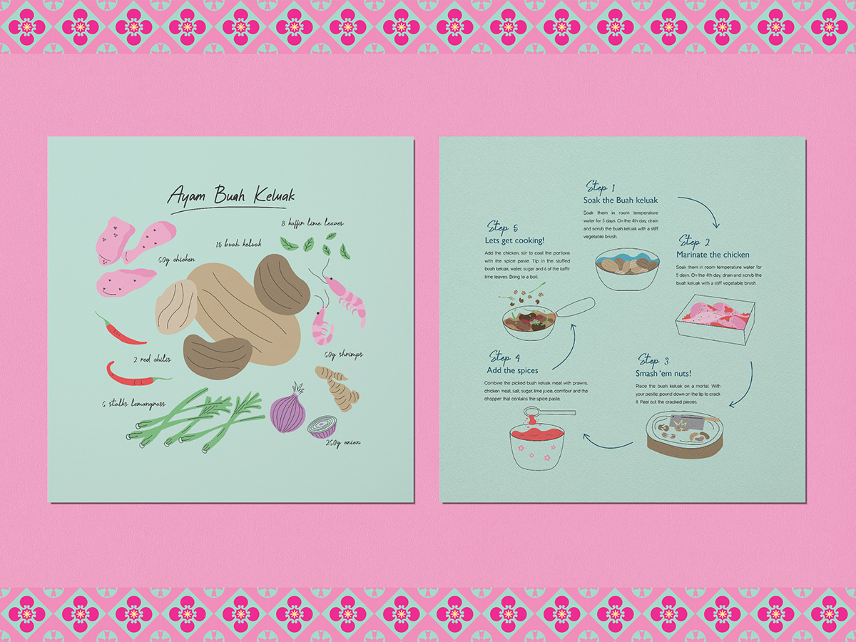 Packaging packaging design ILLUSTRATION  graphic design  nyonya cultures Food  adobe illustrator babanyonya designkit