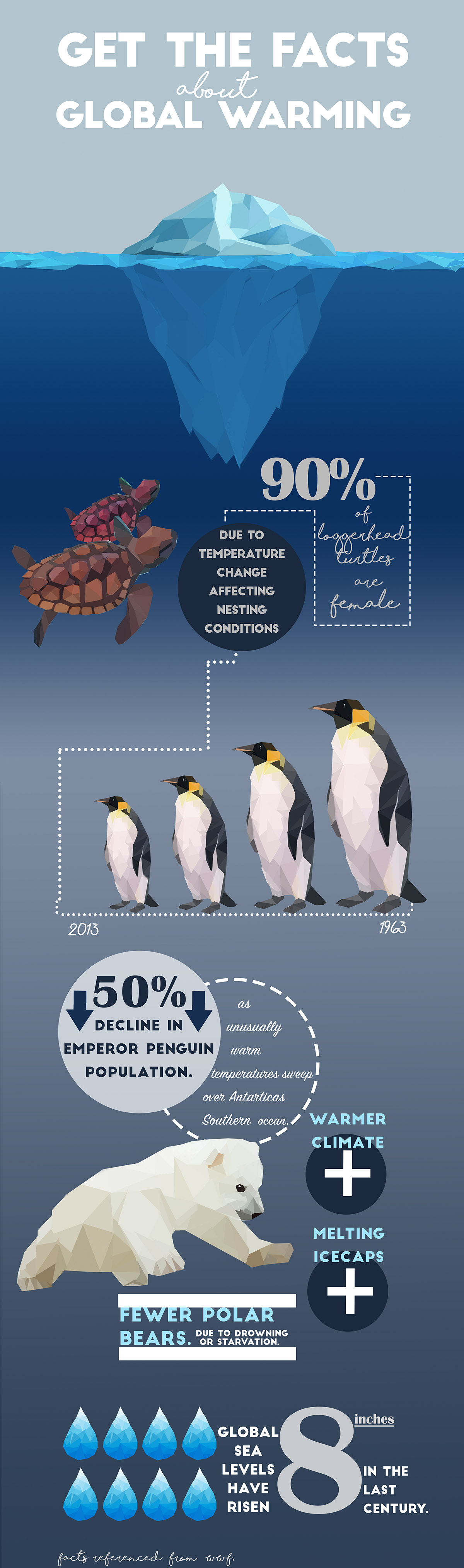 Illustration animals character infographics