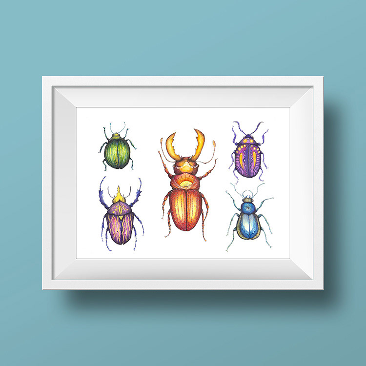 beetles bugs ink Art Insects natimade Nature watercolor art