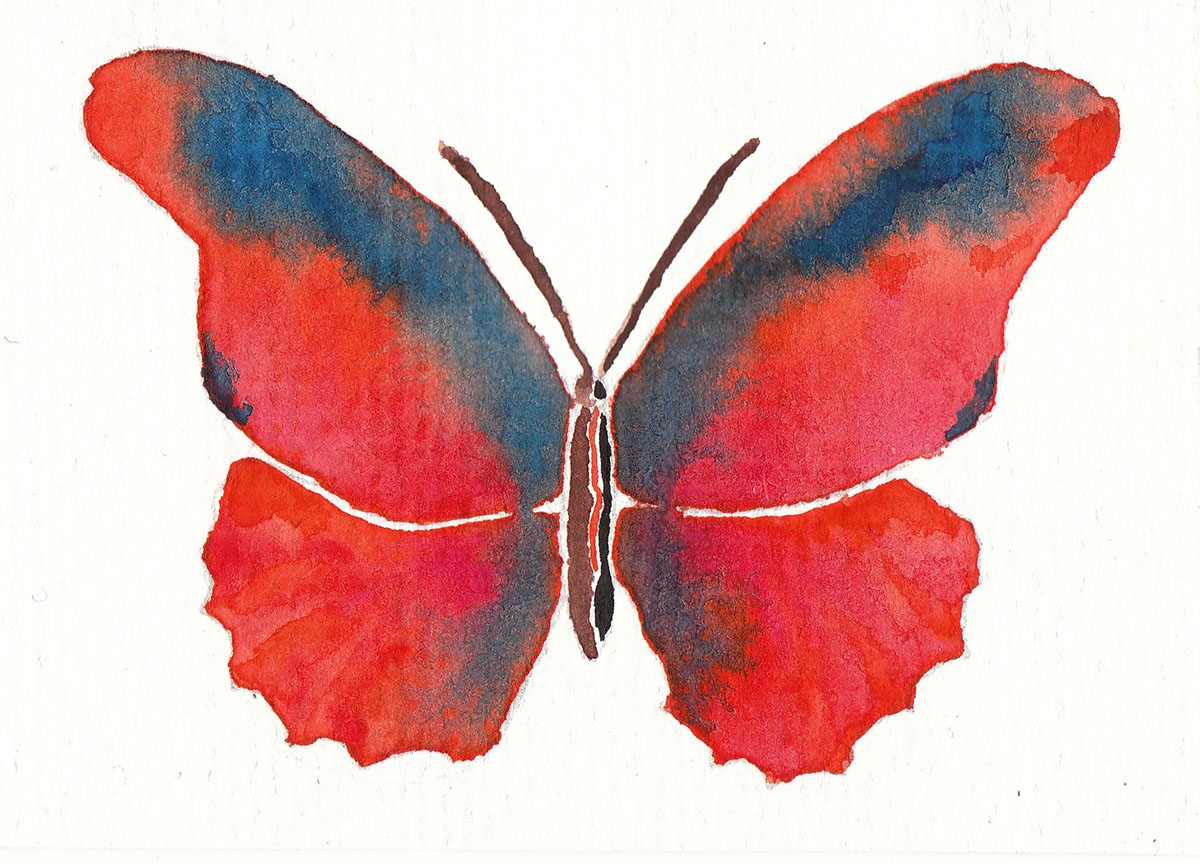 watercolor butterfly butterflies series