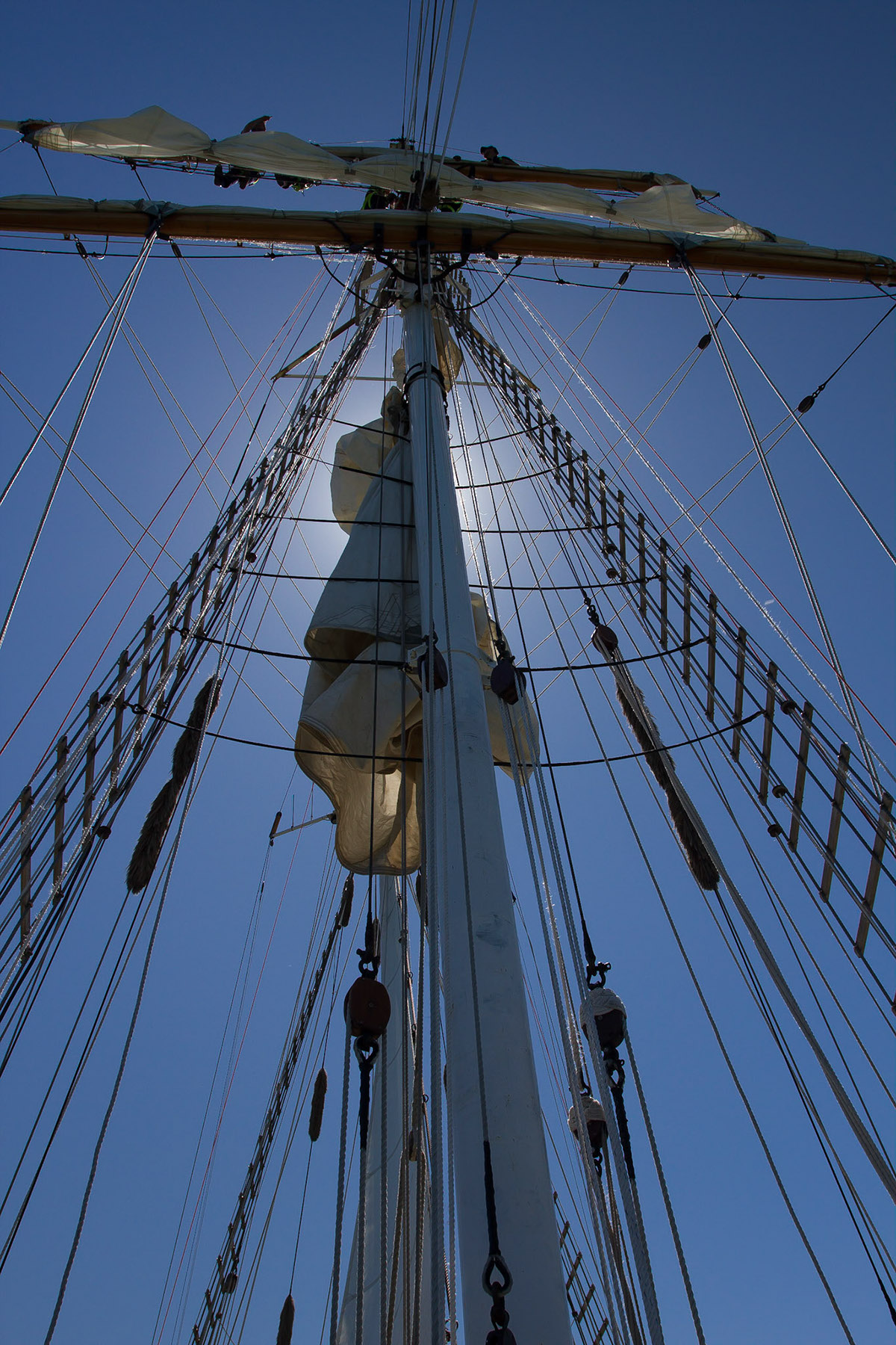 sail tall ship