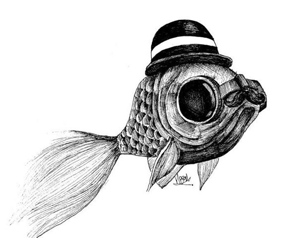 fish pongdrang pen drawing