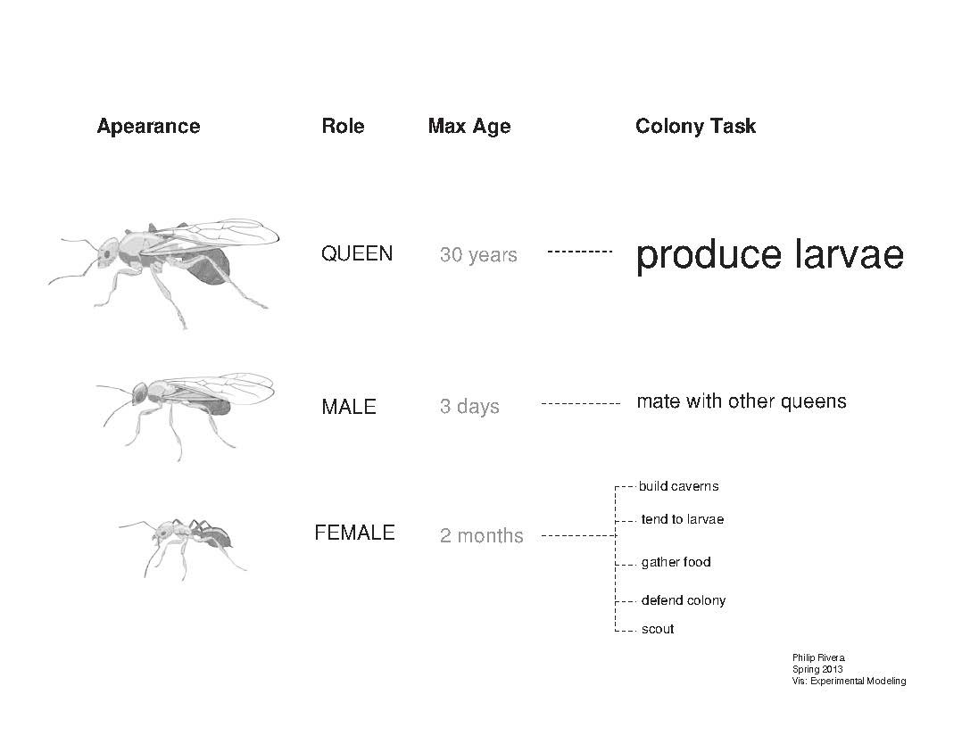 ants nests Swarm Theory parametric Philip RIvera philadelphia university visualization Grasshopper biology science