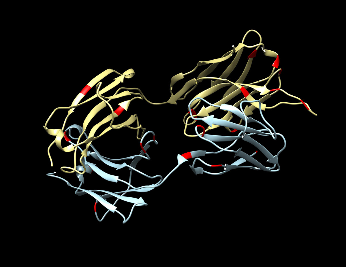 molecule protein DNA cinema 4d Illustrator Scientific Visualization medical illustration