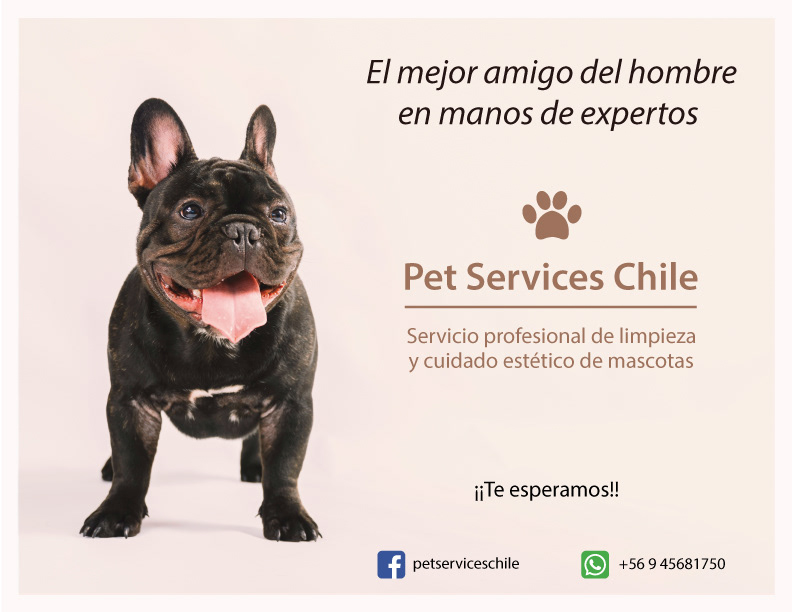 anúncio flyer marca publicidad advertisement Pet mascotas chile diseño gráfico