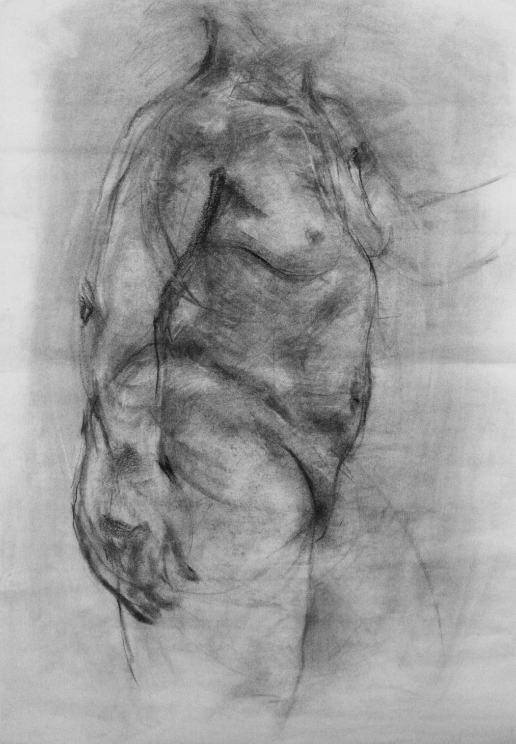 FigureRIS Human Body  charcoal drawing  skeleton  bones  flesh  charcoal