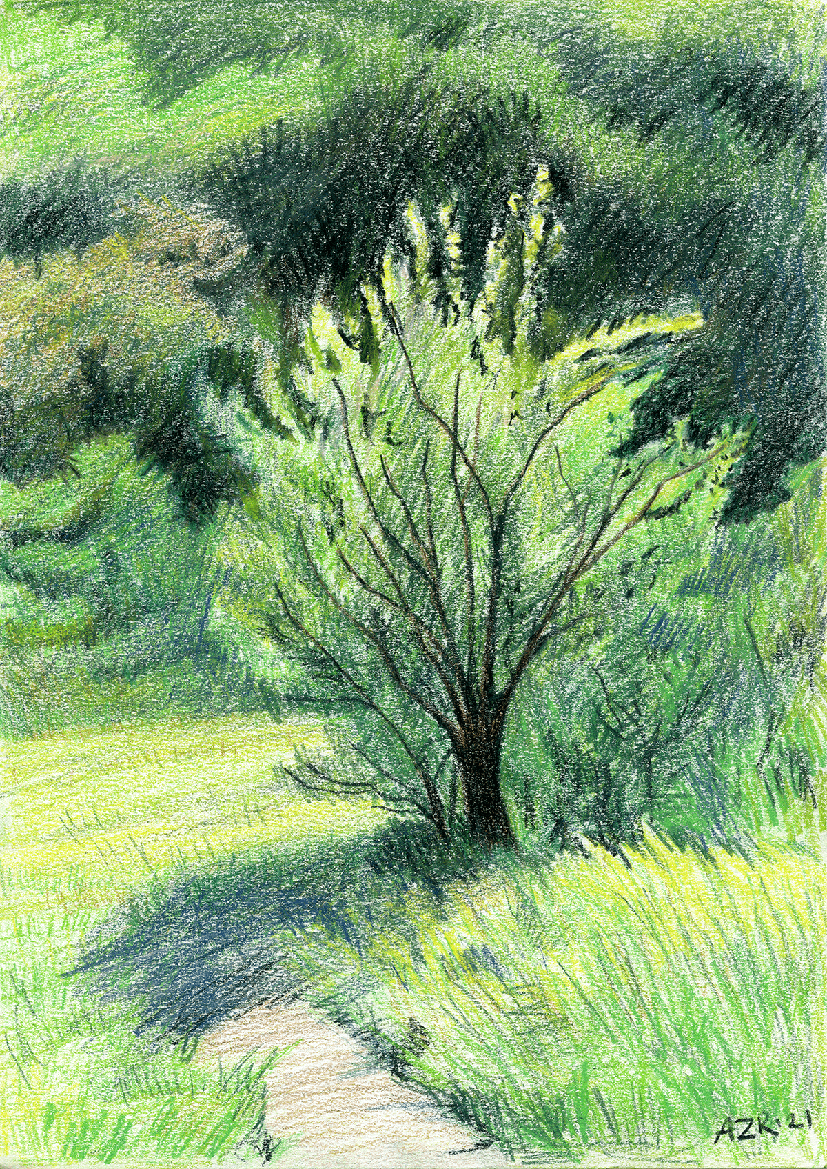 coloredpencil ColorPencil Drawing  forest ILLUSTRATION  Illustrator pencil pencildrawing Tree  trees