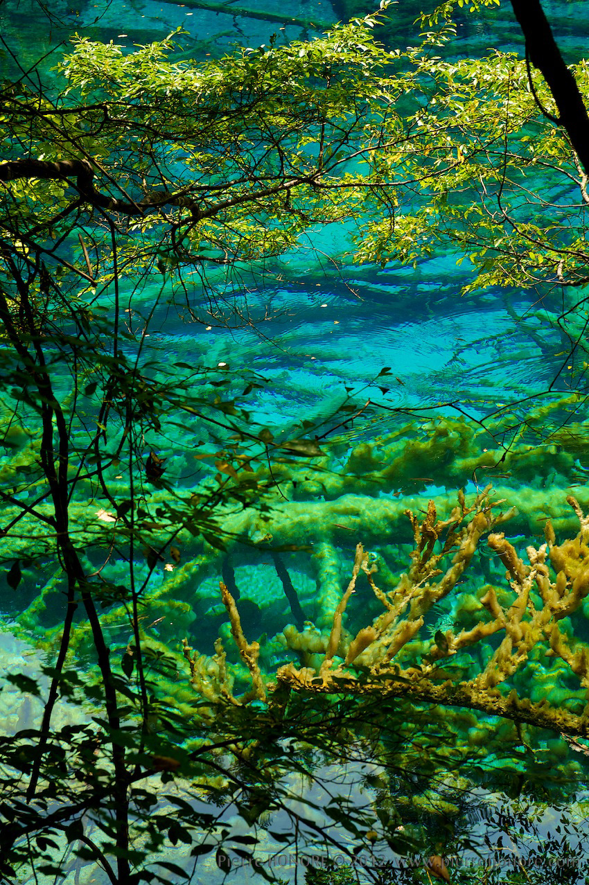 china Sichuan mountain lake colorful lake blue water jiuzhaiguo SKY Tree  green valley
