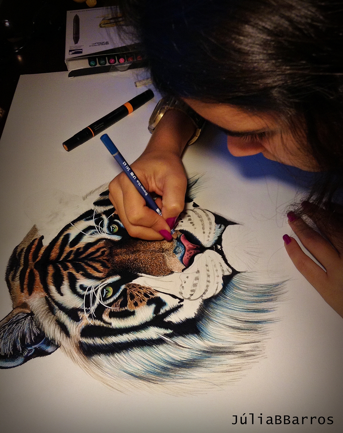 color pencil lápis de cor desenho draw prismacolor Tiger drawing Desenho Tigre tigre tiger