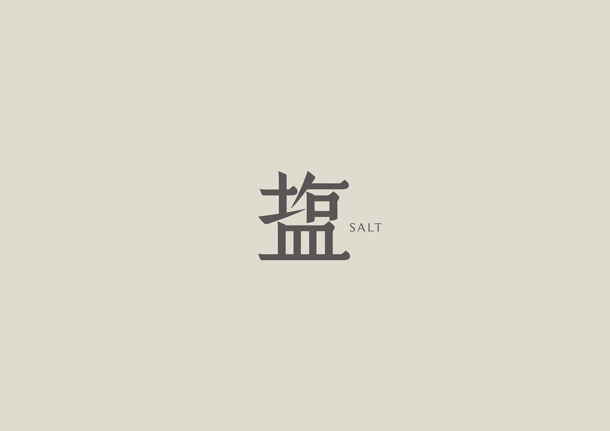 Logotype typedesign type typography   typographic chinese graphicdesign