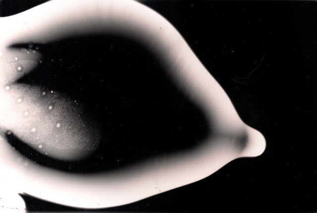 Kadavre exquis photograms pornograms black & white art direction textures condoms france Dark room visual abstract