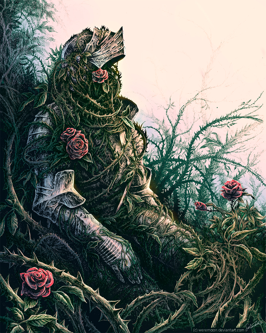 knight Armour medieval Roses thorns bush MORNING fantasy