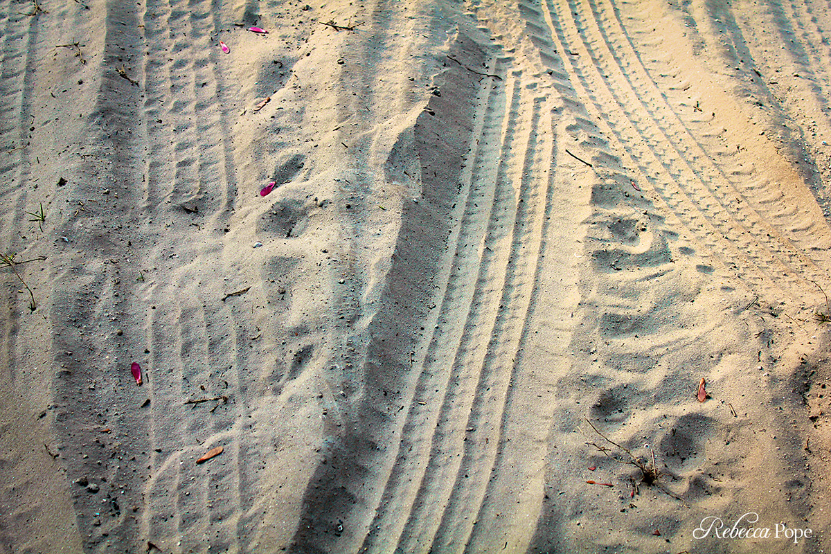 texture water sand pattern