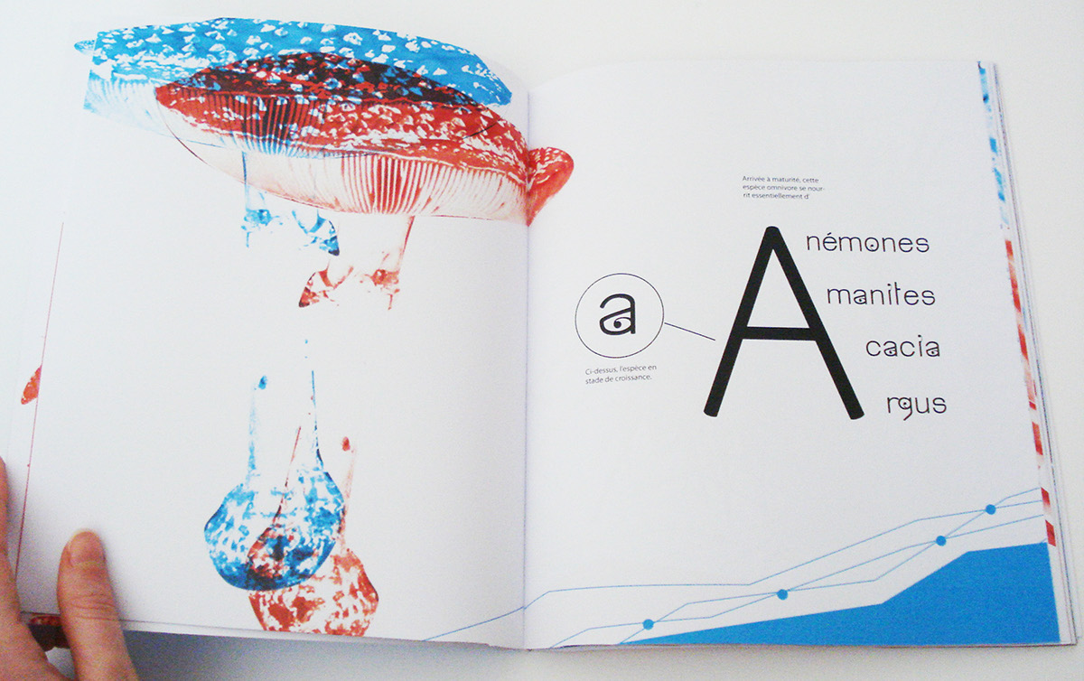 Adobe Portfolio Typographie edition biologie livre alphabet specimen