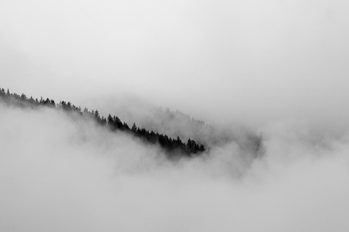 black and white fine art fog forest Landscape misty photo