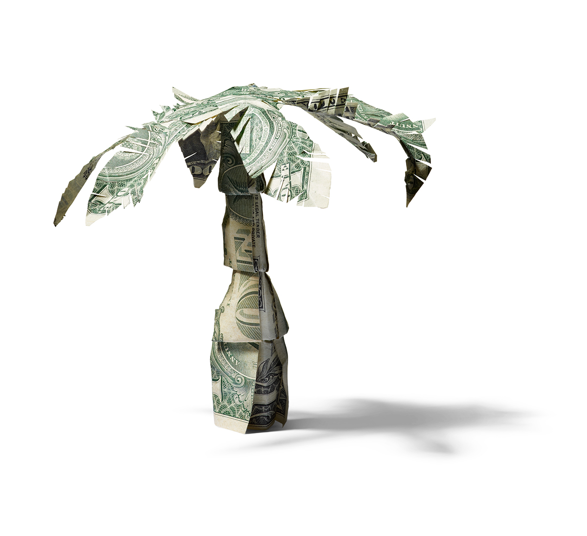 Redbook magazine money origami  Palm Tree dollar