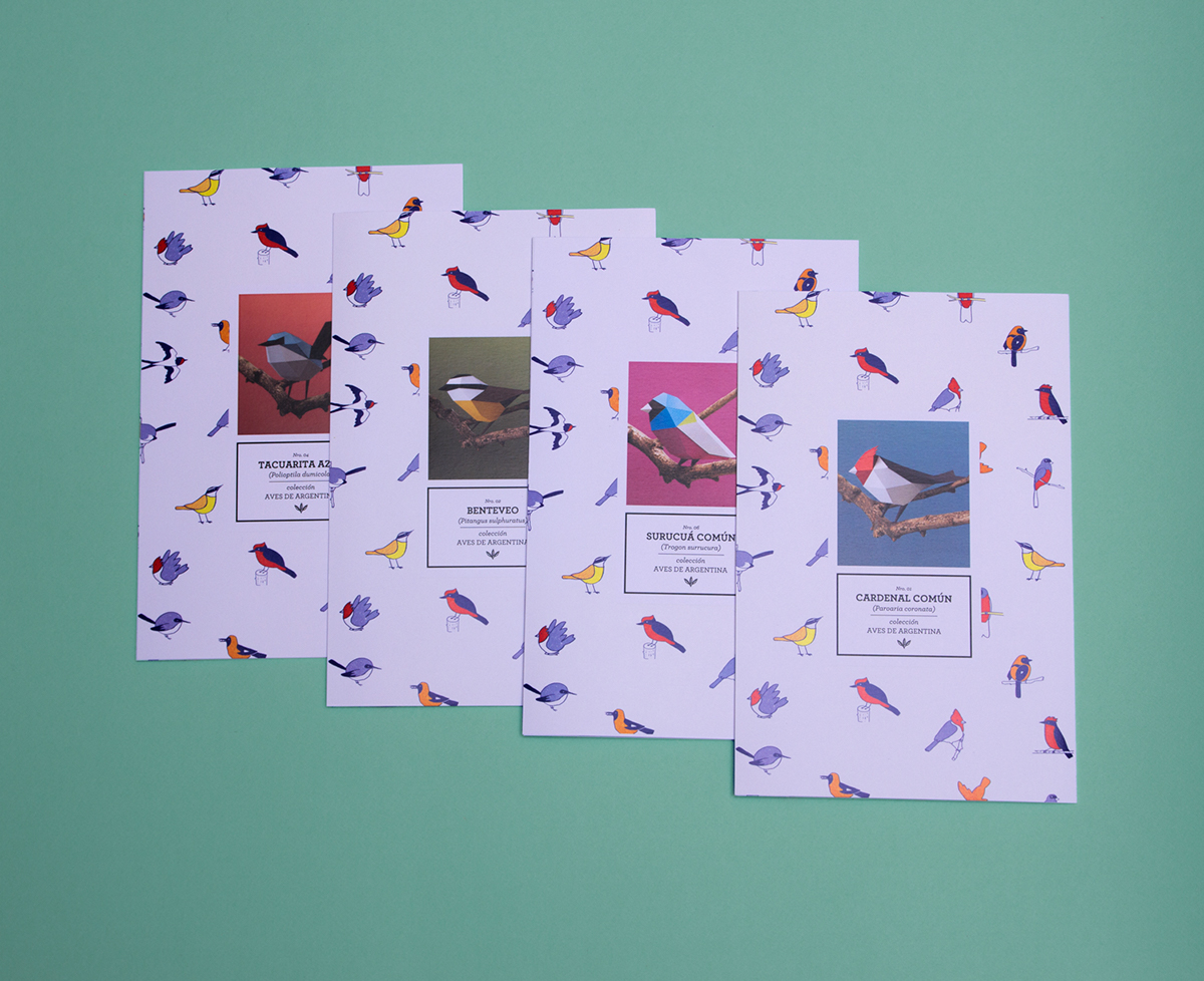aves kit armar birds Assemble paper papercraft pattern