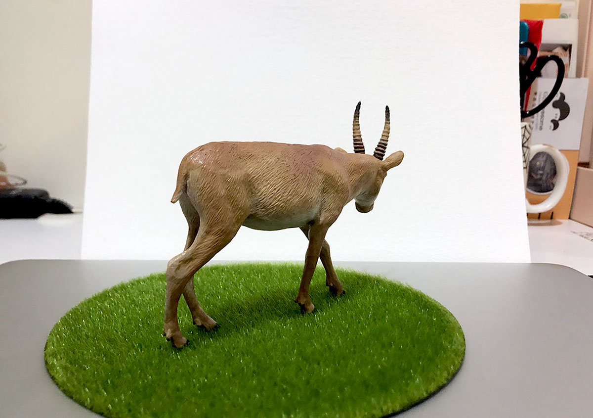 Sculpt sculpture clay animals painting   resin 雕塑 動物模型