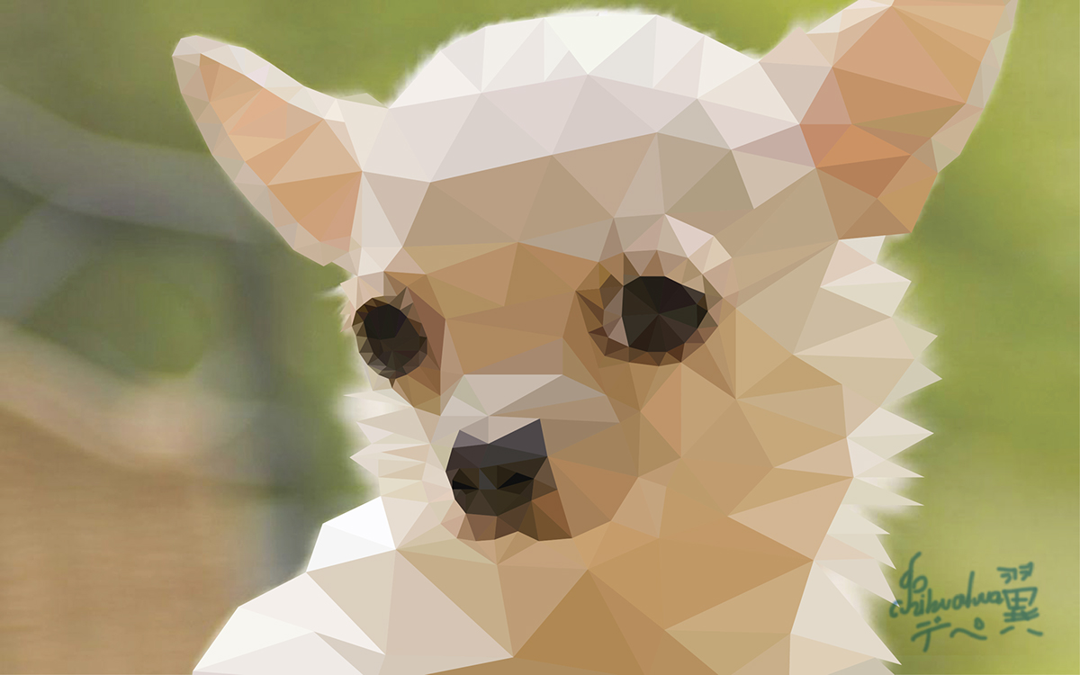 poly polygonal polygonal illustration chihuahua dog