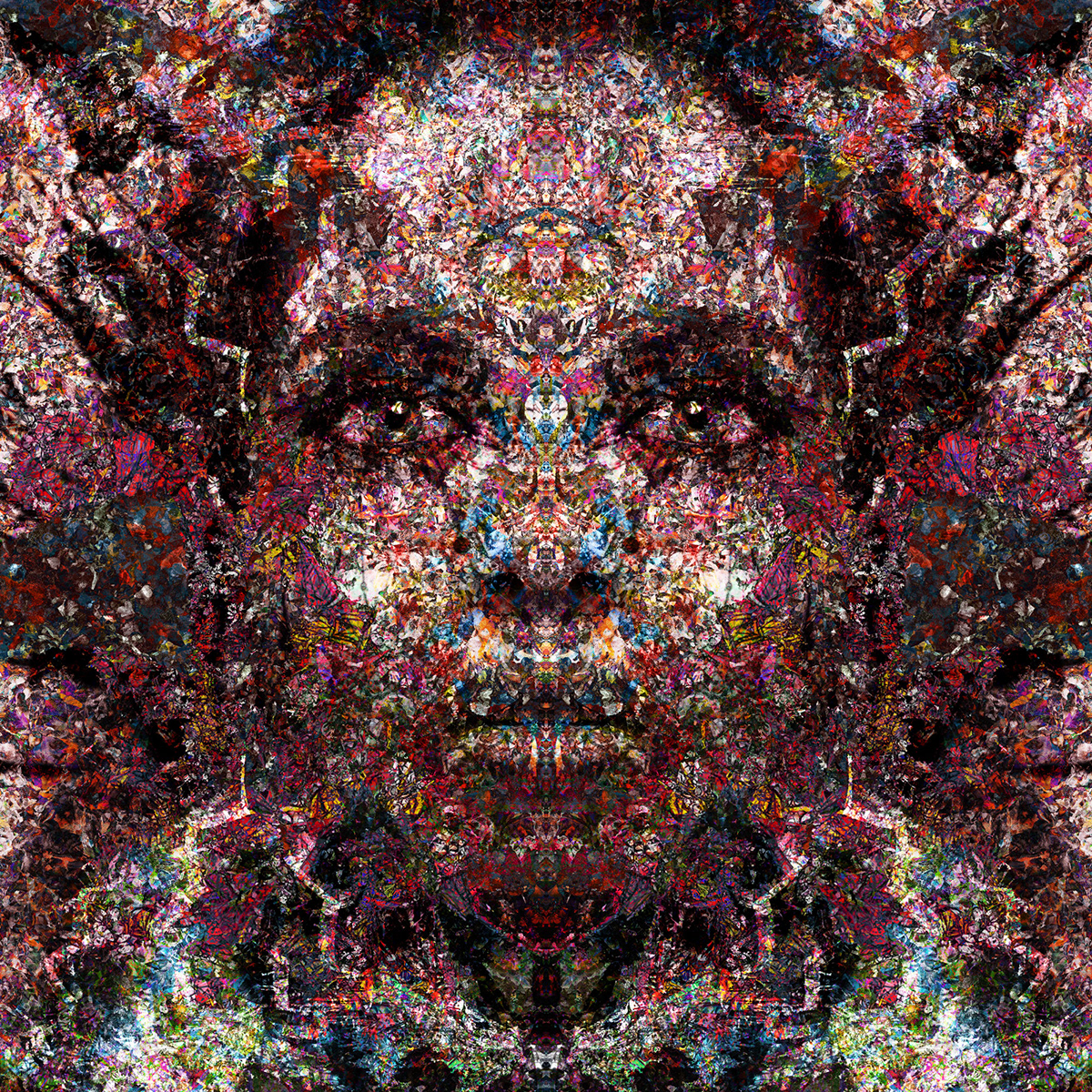potrait nifty graphics Pragyan Uprety abstract generative generative art face girl detailed potraits