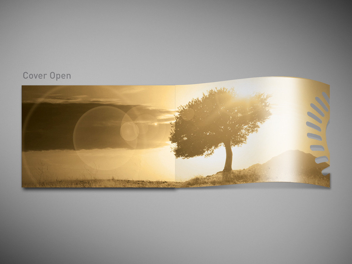 graphic design layout brochure