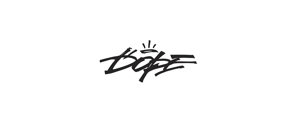 Logotype branding  Rebrand rebranding logo design typography  