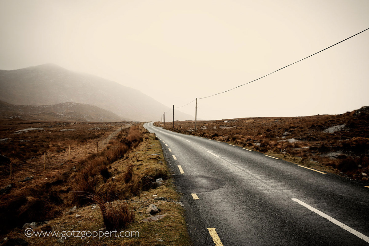 Ireland Landscape strom silent roads lonesome rain weather countraside cow sheep