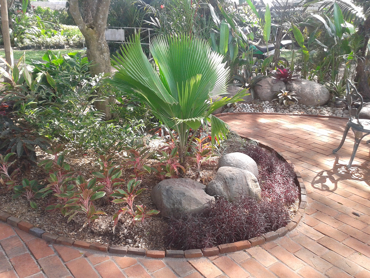 Landscape design philippines tropical landscape gardens TROPICAL GARDENS horticulture