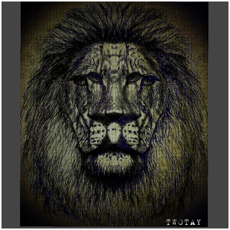 Four eyed lion lion four eyes Four eyes lion TWOTAY twotay besa Cora Besa imaginary jungle king  myth