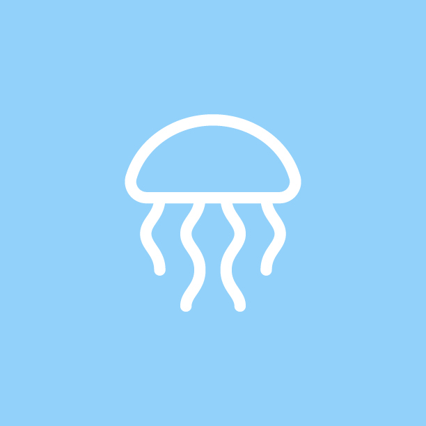 graphic design  jellyfish flat design Picto