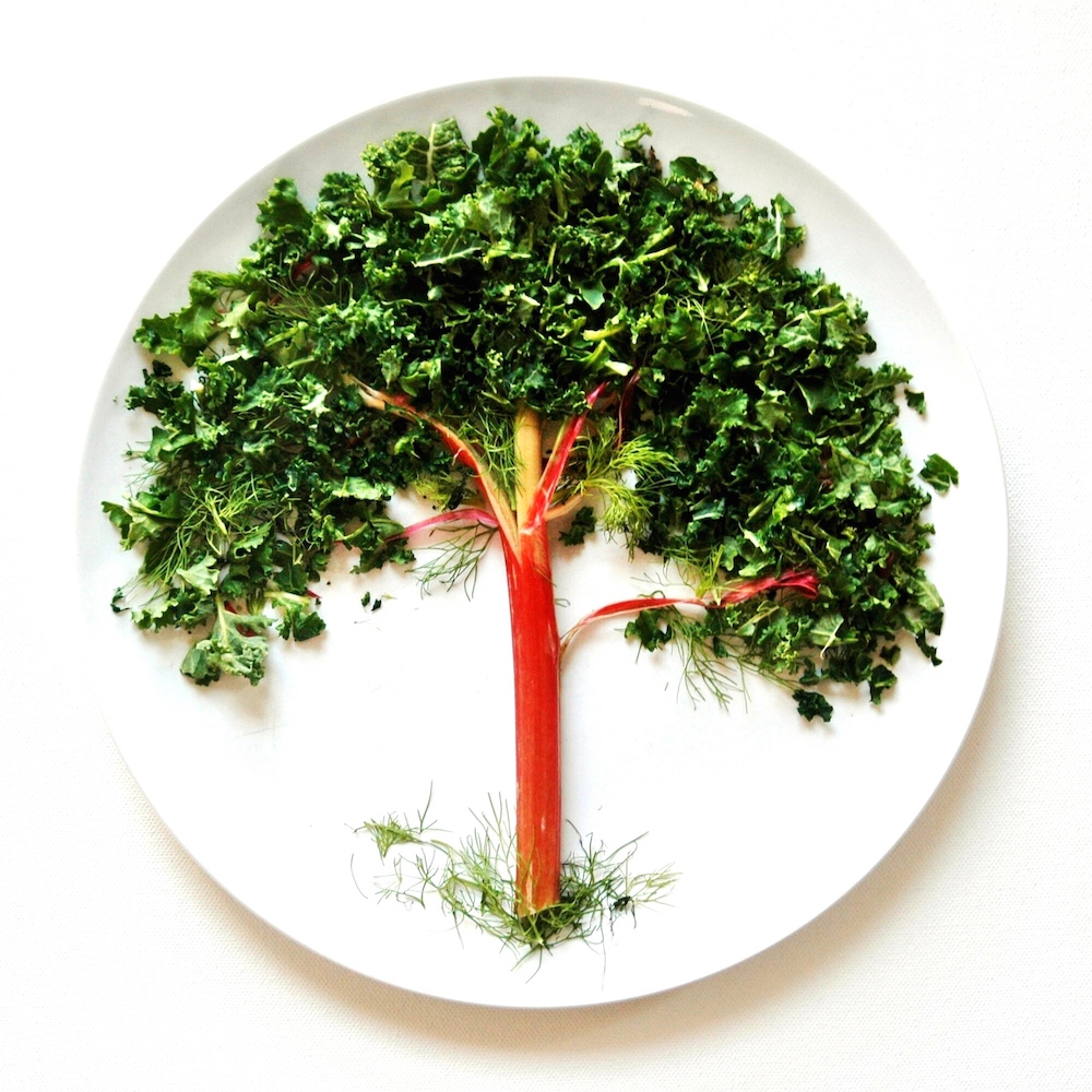 Tree  Kale rhubarb Food  art healthy food food photography food styling food art Nature