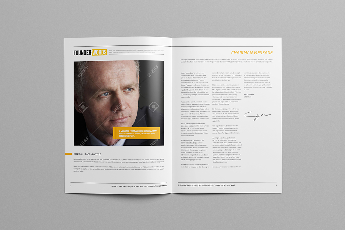 business Plan brand brochure magazine infographic diagram study case Project