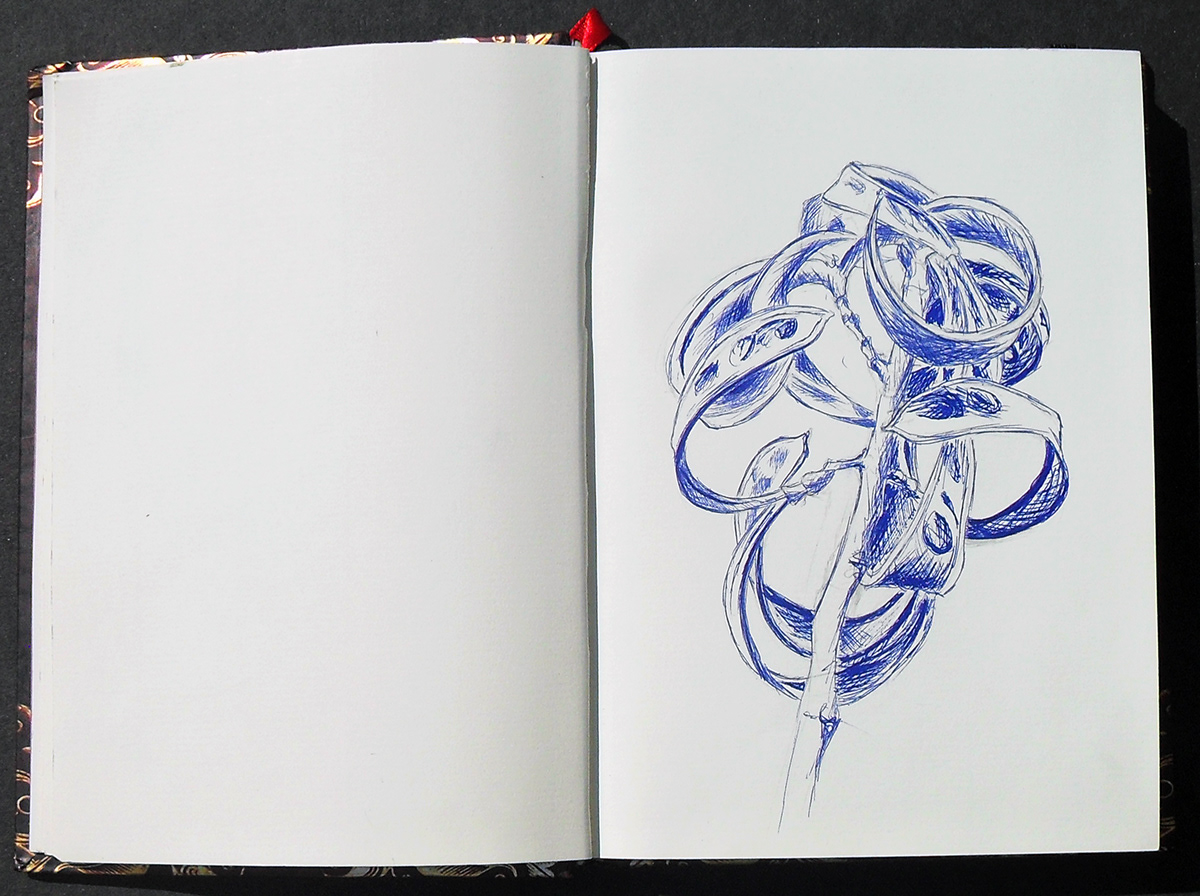 sketch sketchbook pencil ballpoint crayon aquarell ink pen Nature bugs flower corn
