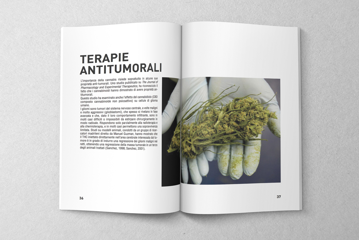 editorial design  book weed Pharmaceutical pharmacy graduation thesis marijuana cannabis