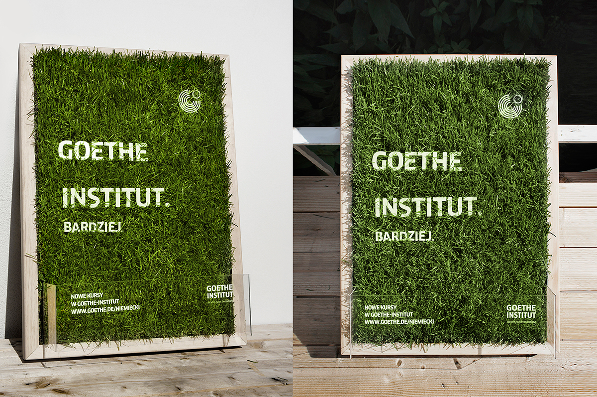 grass ad goethe-institut warsaw german