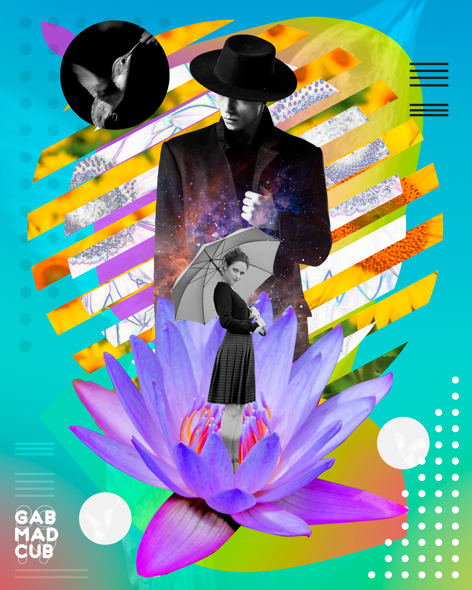 digitalart artdigital collage collagedigital sombrero flor loto