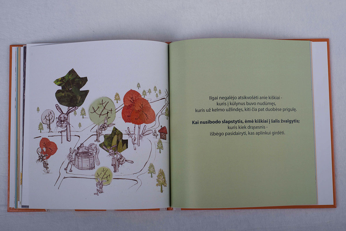 book design illustrations children's book