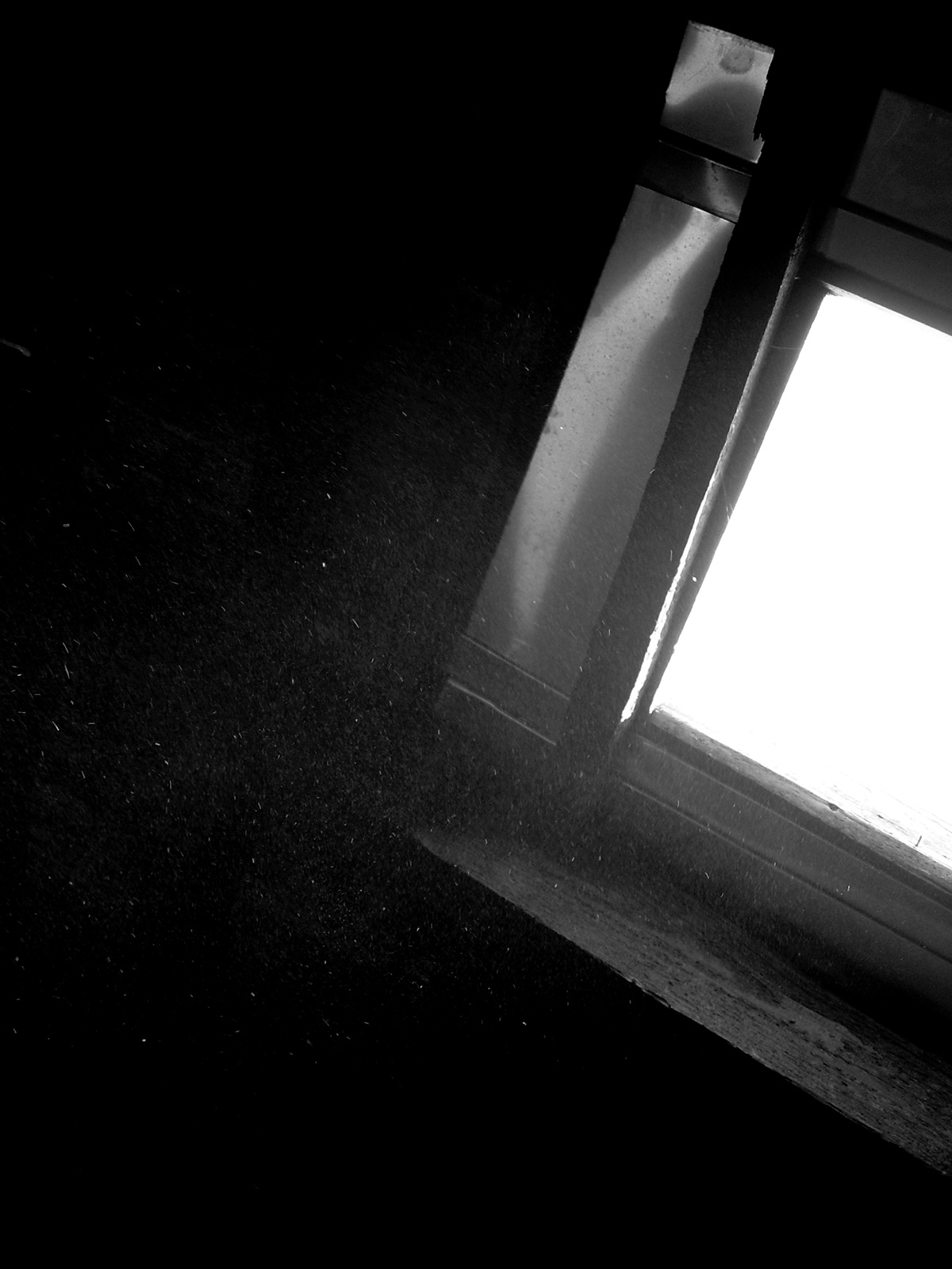 Attic light dust black & white book cover artkele balla csönge csönge balla