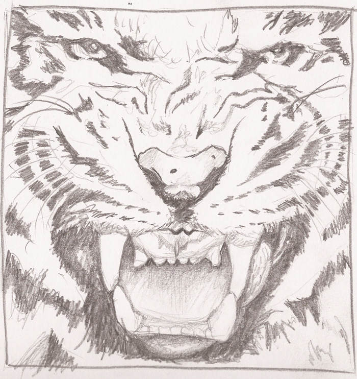 pencil eye tiger