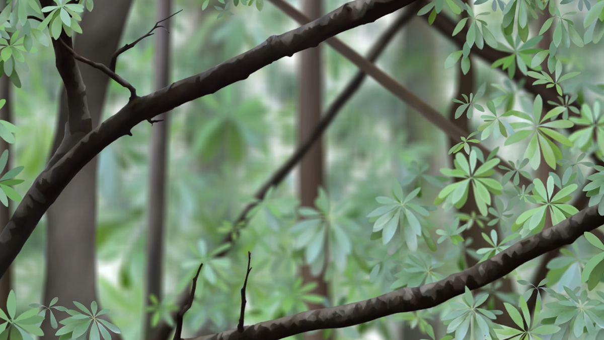 animation  motion design projection installation forest Landscape