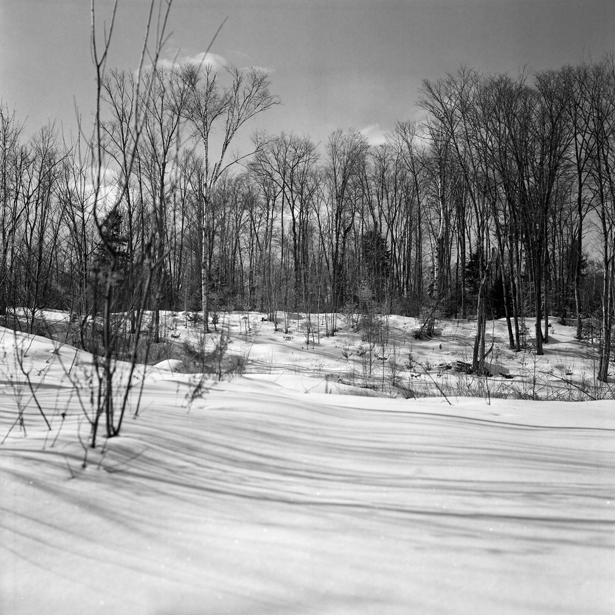 Quebec ILFORD rolleiflex ricohflex film 120 xp2 Delta 3200 Landscape paysage b&w analog winter Sony A7R