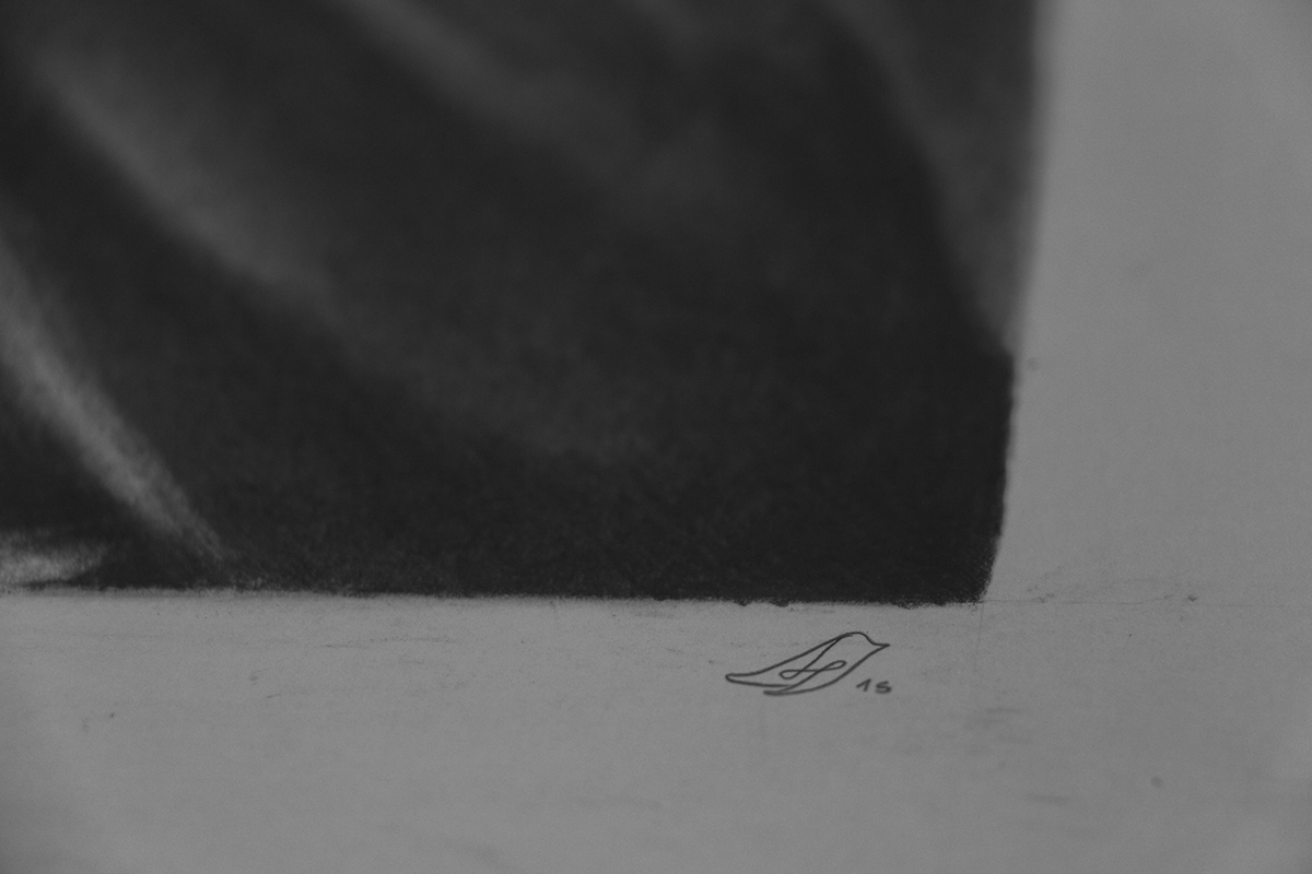 draw colombia bogota black & white bird Realism pencil