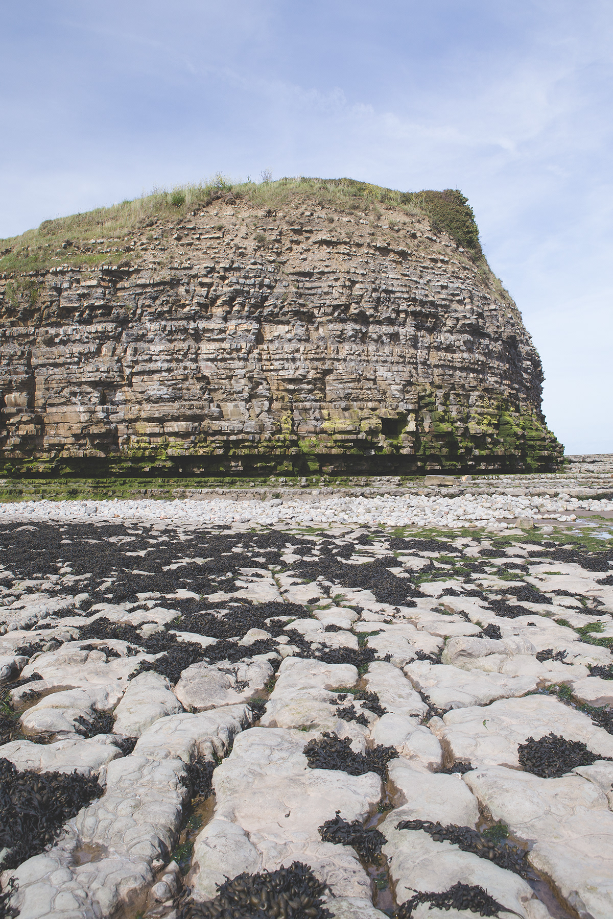 Coast Fossil history adventure wonder test Landscape daniel alford  inspire art Documentary 