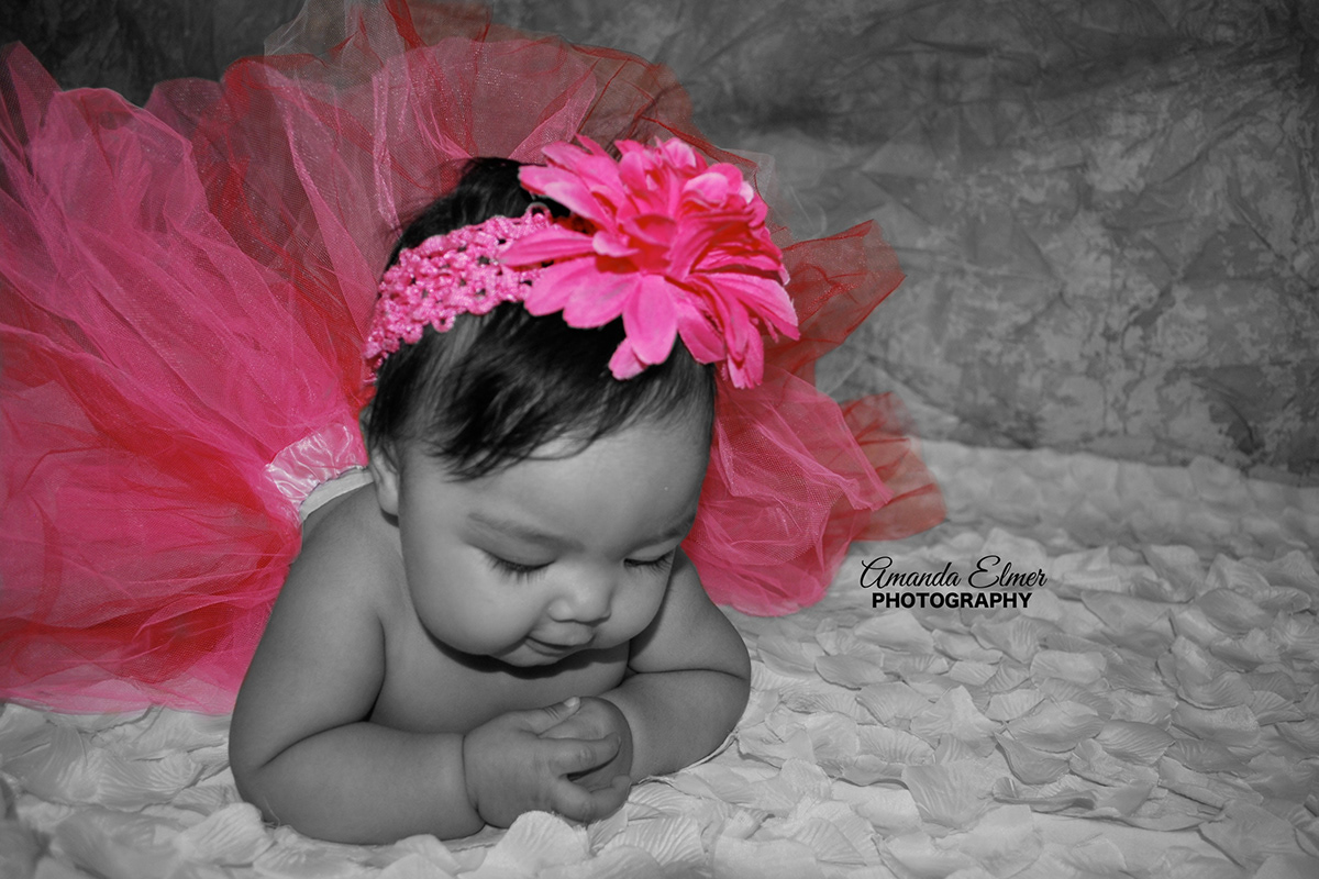 baby photography  portraits  baby  Pink   flower tutu