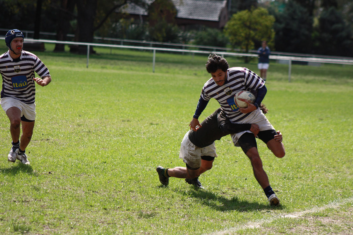 Rugby allblacks sports