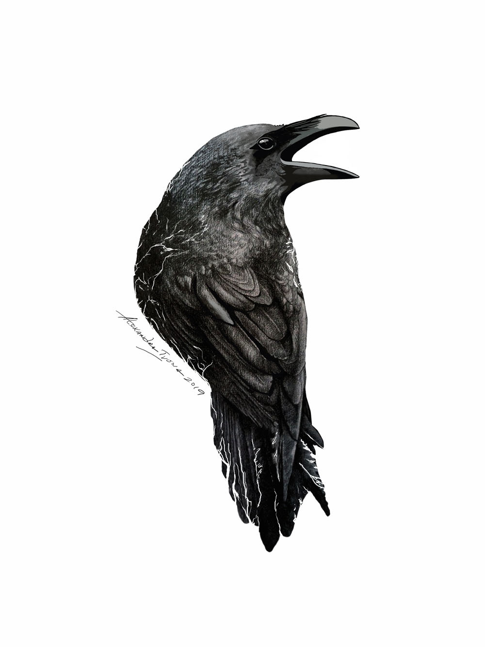 Keeper of Secrets. Raven. Drawing. Digital Art. on Behance