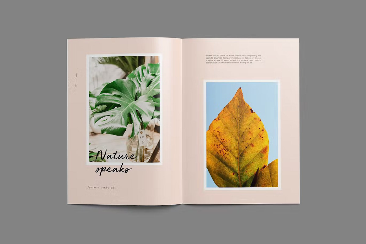 a4 lookbook design digital editorial InDesign Layout magazine modern print template